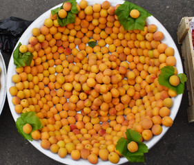 きれいに並んだアプリコット 市場