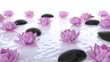 Obraz na płótnie Canvas 3d rendered spa illustration - lotus flowers and stones