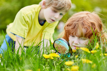Kinder entdecken Natur mit Lupe