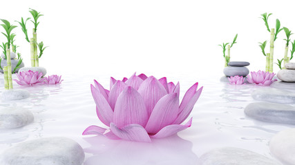 3d rendered spa illustration - stones bambus and lotus flowers