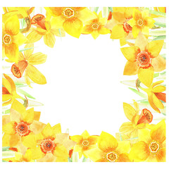 Yellow narcissus composition. Hand painted floral stock watercolor illustration. Perfect for  easter invitations cards and decoration.