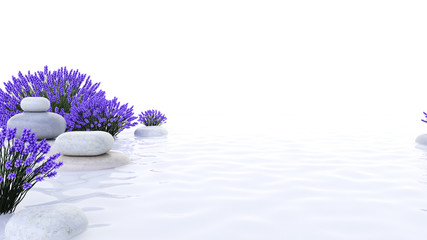3d rendered spa illustration - lavender