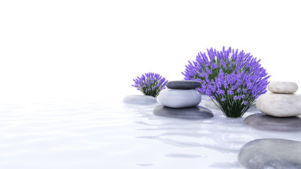 Obraz na płótnie Canvas 3d rendered spa illustration - lavender