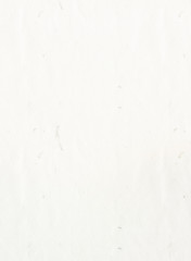 Seamless blank paper texture