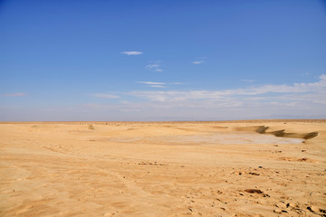 Fototapeta na wymiar boundless expanses of the Sahara desert, a plot of solanchak against the backdrop of a desert landscap