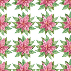 Christmas botanical watercolor. Seamless pattern with poinsettia and leaves for textile,  postcards, wrapping paper, fabrics and more. Bright Christmas background.