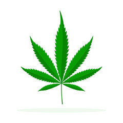 Cannabis vector icon isolated.