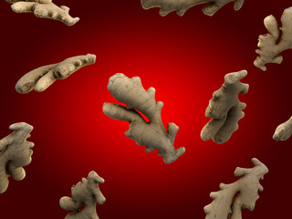 3d rendered food illustration  of ginger