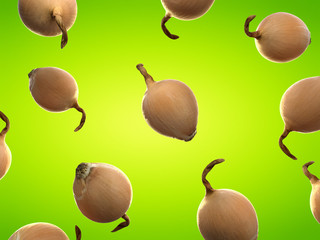 3d rendered food illustration  of onions