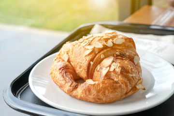 Almond cream croissant in white plate.