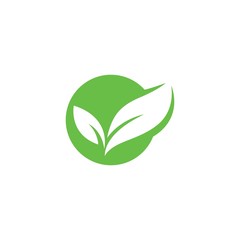 Eco Tree Leaf Logo Template design 