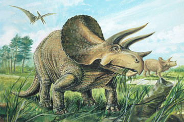 TRICERATOPS. A plant-eater. The largest of the horned dinosaurs. About 20ft (6m) long. Background: Pteranodon. Upper Cretaceous, about 70 million years ago. *No. 8 in a series of eight.*  - obrazy, fototapety, plakaty
