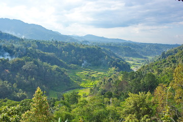 view of the green valley