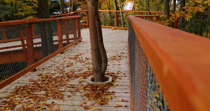 Tree trunk moving in strong wind in the middle of a construction on a wooden path in the tree tops from the joke to the side of a sunny autumn day captured in Pustevny Beskids area 4k 60fps.
