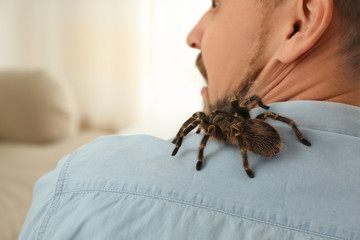 Man with tarantula at home, space for text. Arachnophobia (fear of spiders)