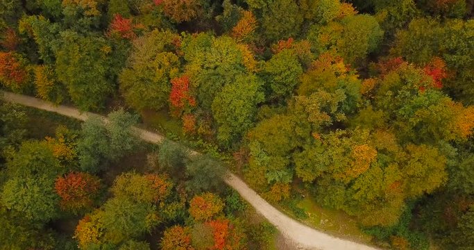 Forest in Iran with colorful broad leaf trees and green, brown, yellow and red foliage in wide shot aerial footage