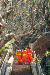 Buddhist novice monks walking up stairway.