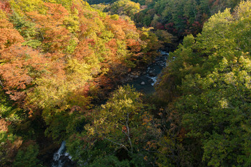 岩手県八幡平市　森の大橋からみる松川の紅葉の景色