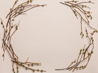  frame of willow on a pink background