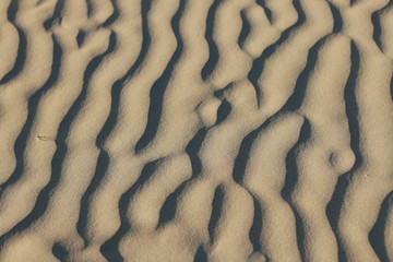 textures of wind blown natural patterns in the sand dunes on a sunny beach