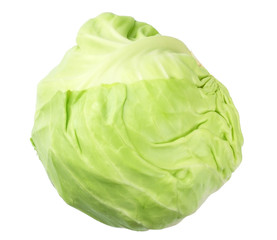 green cabbage isolated on white background. healthy food