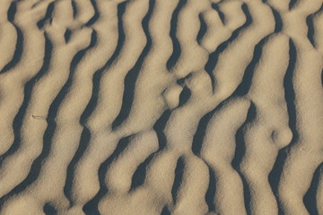 textures of wind blown natural patterns in the sand dunes on a sunny beach