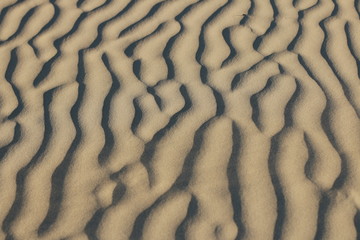 textures of wind blown natural patterns in the sand dunes on a sunny beach