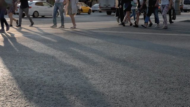 Summer anytime this afternoon City street Asphalt Pedestrian crossing People walking