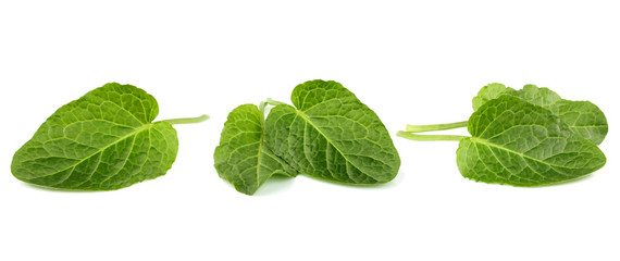 Fototapeta na wymiar Spinach leaves isolated.