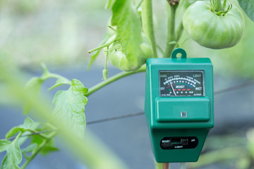Ph meter, wet and luminosity sensor modern gardening and farming concept