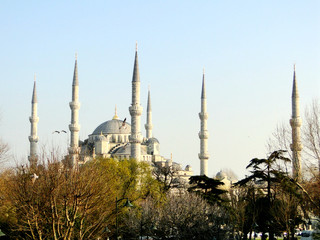 Fototapeta na wymiar Panoramic view of Blue Mosque in Istanbul in Turkey, with trees and flying bird in background during sunset.