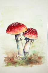 Watercolor red fly agarics. Poisonous toxic mushrooms on green and brown background. Handmade watercolor. Red fly agarics illustration.