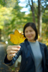 Asian tourists happily show off their colorful leaves for the camera.
