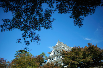 Old castle On a clear day, the sky was bright and clear, with a scene in front of a bright red and yellow tree.