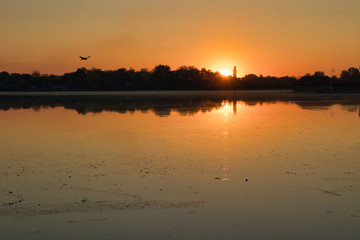 Obraz premium Sunset over the Palić lake