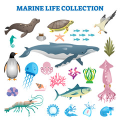 Obraz na płótnie Canvas Marine life collection vector illustration. Sea and ocean wild fauna fishes
