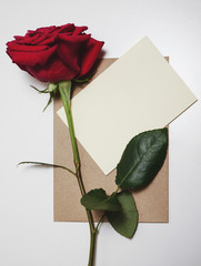 Obraz premium Elegant Colombian rose over a valentines day greeting card letter mockup and a kraft envelope, with copy space.