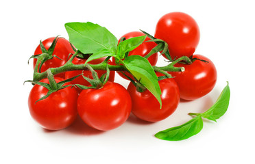 Ripe red tomatoes on a branch with basil leaves isolated on a white background