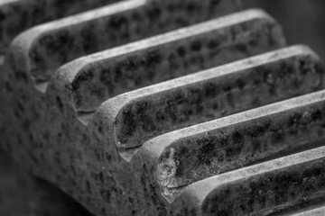 Fotografia Preto e Branco de detalhes