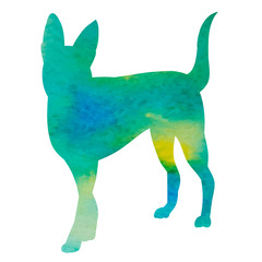 vector, on a white background, green watercolor silhouette dog alone stands
