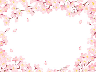 Frame of "Sakura" Cherry Blossoms/Spring flower of Japan /white background © ricorico