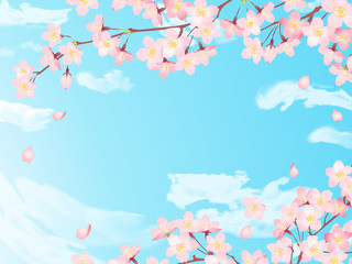 Frame of "Sakura" Cherry Blossoms/Spring flower of Japan /blue sky background