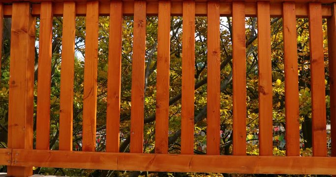 Wooden railing on trail during strong wind in background with moving trees leaves flying around wooden railing and sun penetrates through gaps captured in Beskids area 4k 60fps.