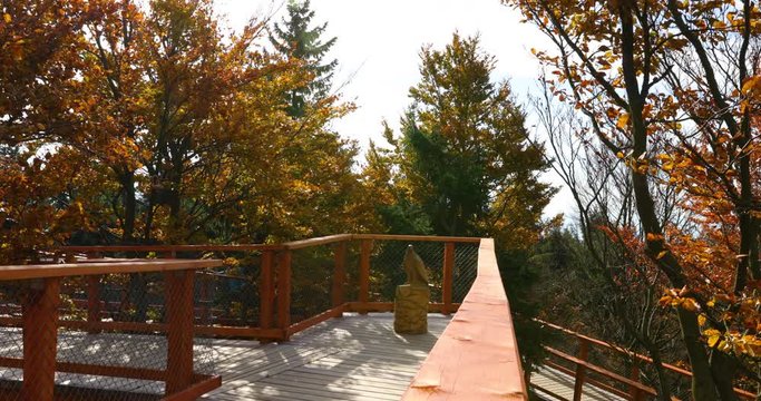 Trail in tree tops and view of side of the wooden structure during strong wind in background with moving trees leaves flying around the wooden railing during sunny autumn day in Beskids area 4k 60fps