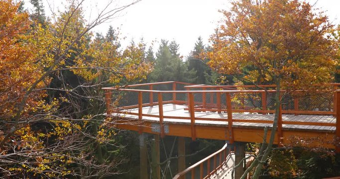 View of treetops moving in strong wind from the side to side and the wooden construction of a viewpoint hitting tree trunks during a sunny autumn day captured in Beskids area 4k 60fps.