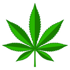Vector illustration. Marijuana leaf. Isolated on white. Green print. Cannabis