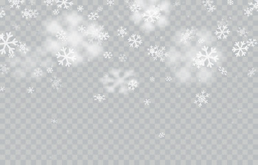 Snow flakes falling isolated on transparent background. Vector christmas snowfall overlay texture, white snowflakes flying in winter air.