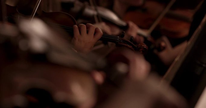 Stock video footage Symphony Orchestra