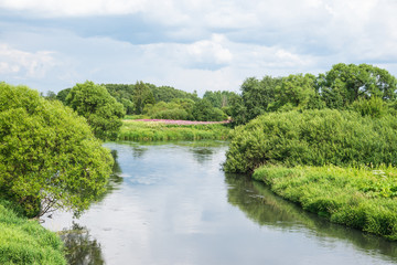 Summer. Landscape with river