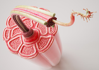 Cross section through a muscle with visible muscle fibers - anatomically correct- 3D Rendering